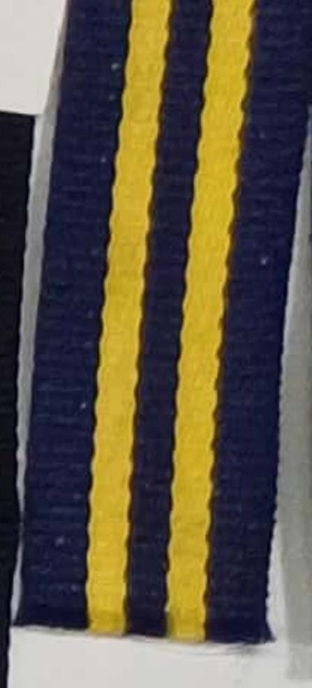 28 1111 22 NAVY/YELLOW/NAVY 