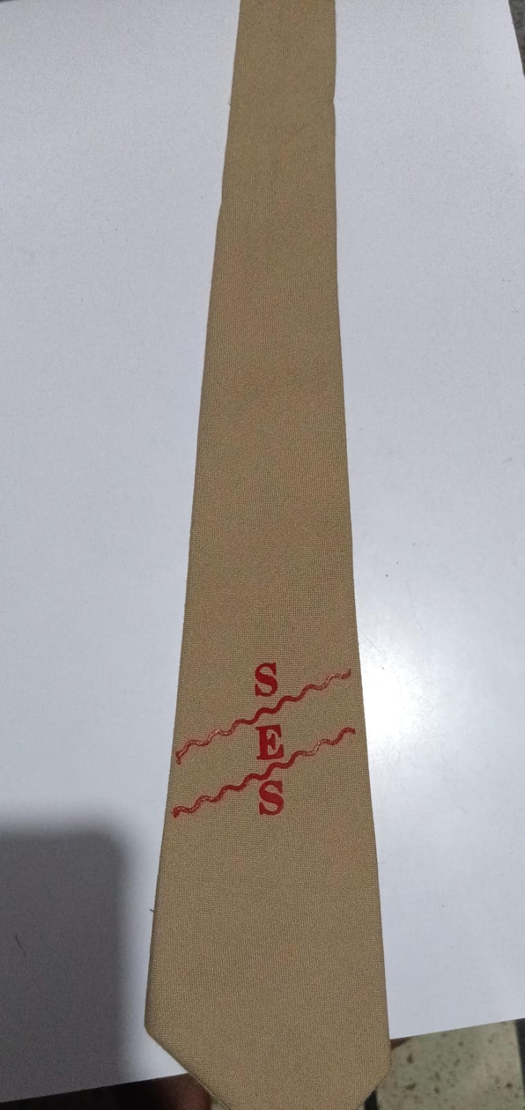 10 242 215 BISCUIT COLOUR   EMBRODIERY TIE 