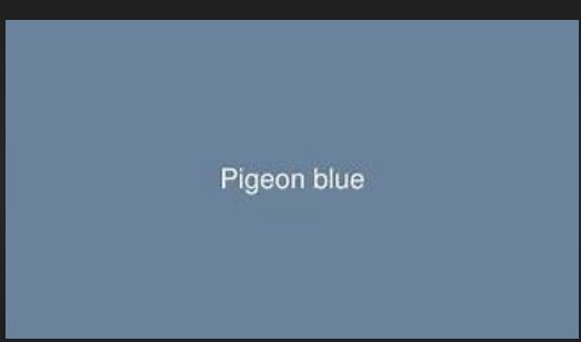 S TMF 1011 ROUND NECK HALF SLEEVE CINNAMON