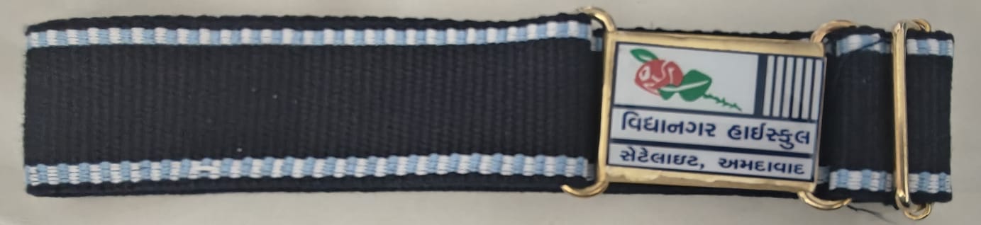 30 3333 22 SKY/NAVY/SKY COTTAN ( VIDHYANAGAR HIGH SCHOOL) 