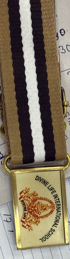 30 3333 22 BISCUIT / WINE/WHITE (DIVINE LIFE) 