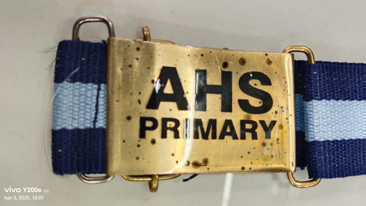 30 3333 22 NEVY/SKY/NEVY(AHS PRIMARY) 